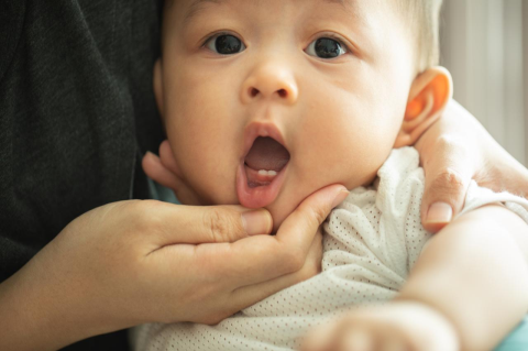 Close-up of a baby with two bottom teeth
