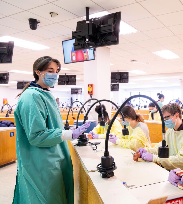 Anna Lubitz leads undergraduate students in the Alginate Impressions and Tooth Wax Up Workshop