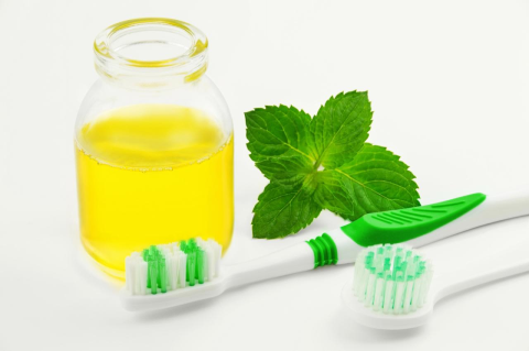 A bottle of oil, two toothbrushes, and a sprig of mint.