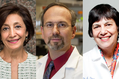 Three separate portrait-style images showing individuals in professional attire, including a person in a textured light-colored jacket, a person wearing a white lab coat with a stethoscope, and a person in a white coat 